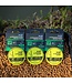 Matrix X8 X-Power Carp 45cm Band Rig – Bas de Ligne Carpe Renforcé 8pcs