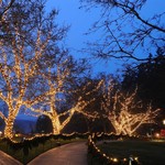 Erweiterbare Weihnachtsbeleuchtung | warmweiß mit blauem Funkeln | ab 10 Meter mit 100 LEDs | Gummi