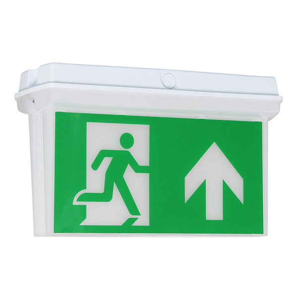 Zweiseitige Aufbau-Notbeleuchtung - LX005