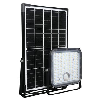 30W Solar-LED-Außenstrahler mit Sensor - Nick