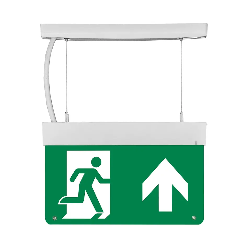 Aufbau-Notbeleuchtung LX002 - Deckenmontage mit Pendel