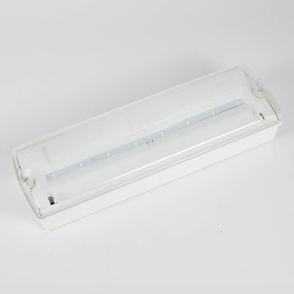 5 Watt Notleuchte mit 10 LEDs - DP-3