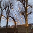 Illu Lichterkette mit 5W Spiral Lampe XL, 1800K amber Glas Option dimmbar