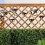 Solar-Lichterkette 20 Meter mit 40 Lampen doppeltes Filament und 20W Solarpanel
