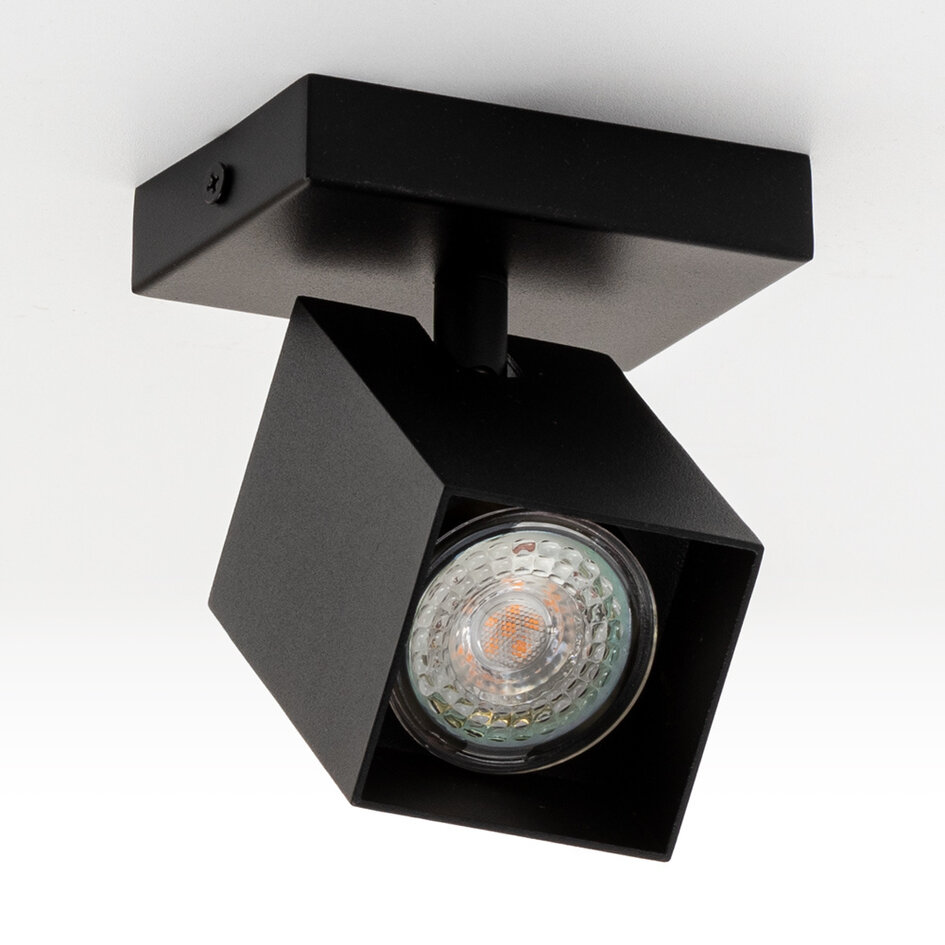 Industrieller mattschwarzer Deckenspot - Ari