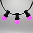 Lichterkette Glühbirne, LED 1 Watt, pink