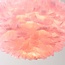 Design-Hängelampe Pluma in zartem Rosa mit Federn