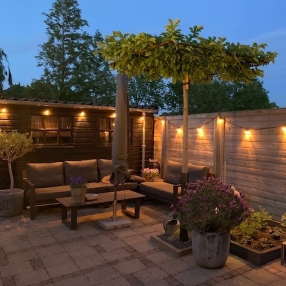 Illu Lichterkette, 1 Watt dimmbare LED Glühlampen. U-förmig, 5-100 Meter