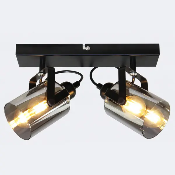 Deckenleuchte mit Rauchglas, 2-flammig - Ryan