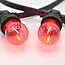 Komplettes Illu-Lichterketten-Set mit Filament-LED-Lampen in 4 Farben