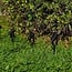 6er-Set neigbare Gartenstrahler mit Fernbedienung - Schwarz mit dimmbaren LEDs
