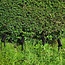 6er-Set moderne, neigbare Gartenstrahler mit Fernbedienung - Schwarz mit dimmbaren LEDs