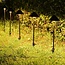 4er-Set kompakte Außenleuchten mit Fernbedienung - Schwarz mit dimmbaren LEDs