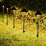 6er-Set kompakte Außenleuchten mit Fernbedienung - Schwarz mit dimmbaren LEDs