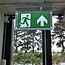 Notleuchte  OTG-FF-6, Drehgelenk