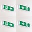 3 Watt Notbeleuchtung mit transparentem Schirm, OTG-KL-Serie
