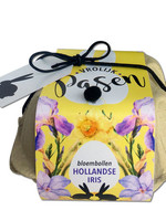 Bloembollen Hollandse Iris  Vrolijk Pasen