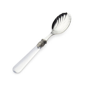 Cheese spoon, transparent