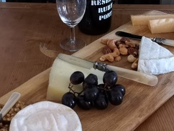 Kaasmesjes kopen? Dan moet je deze beslist gezien hebben! Kaasmesjes kopen? Dan moet je deze beslist gezien hebben!