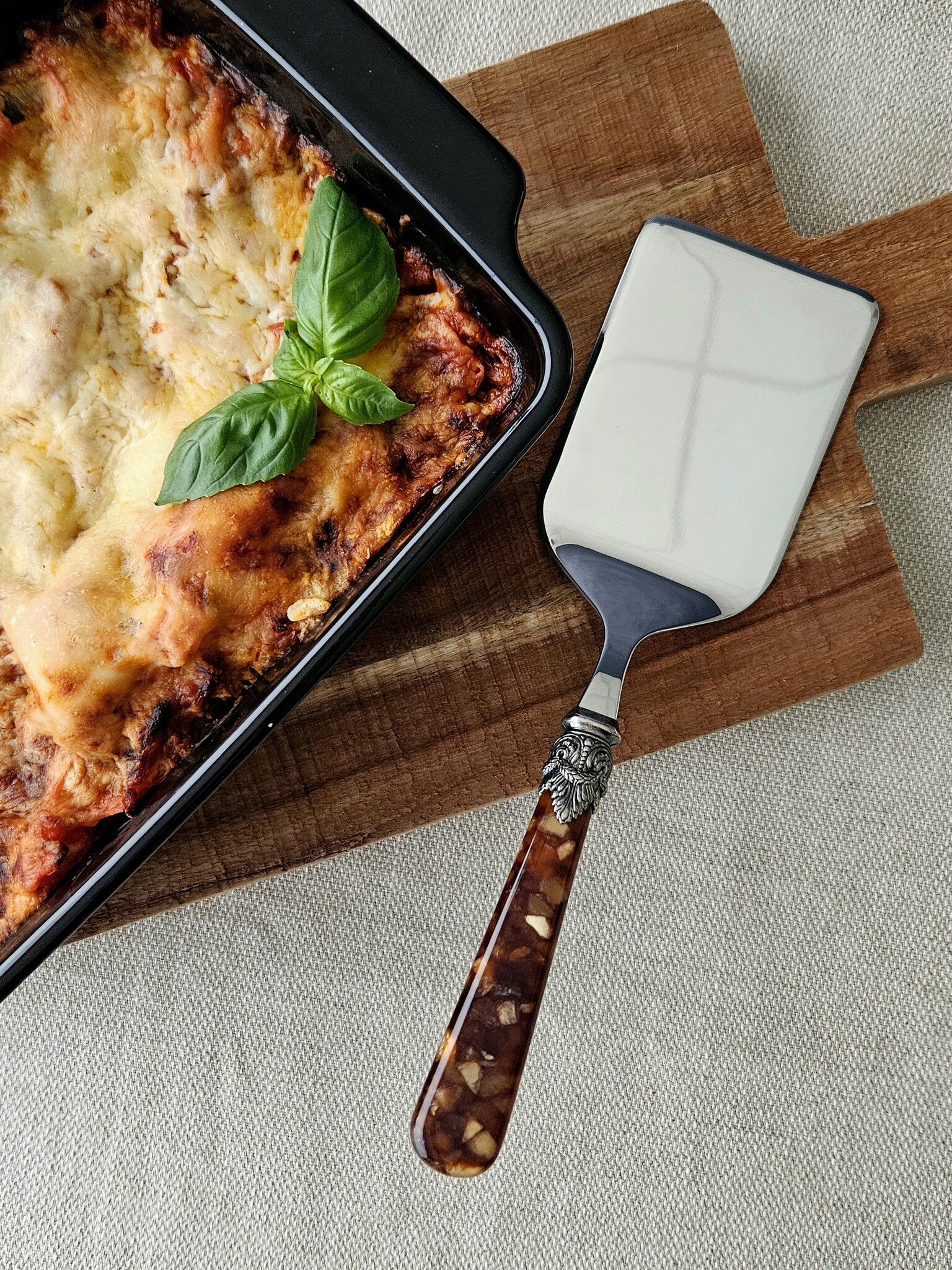 Lasagneheber, Braun (schildkröte), EME Napoleon