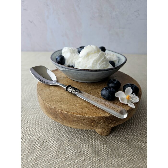 Ice Cream Spoon, with Transparent handle