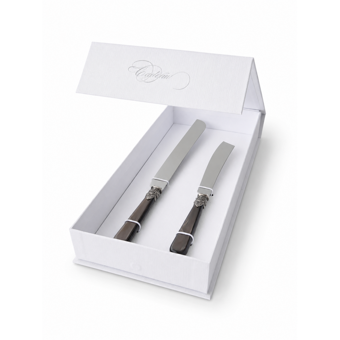 Coffret Cadeau Couteau à Gâteau & Couteau à Cake, Brun (Éclat Nacré), EME Napoleon