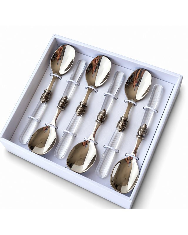 6-teiliges Eislöffel-Geschenkset, Transparent, EME Napoleon