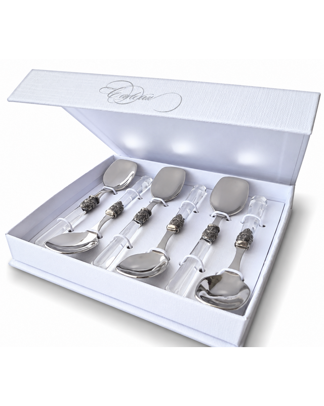 Set regalo de 6 cucharillas de helado, transparente, EME Napoleon
