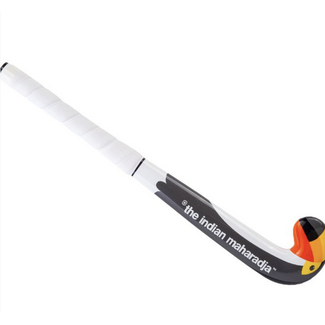 The Indian Maharadja Baby Toucan