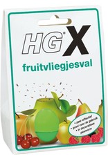 HG FRUITVLIEGJESVAL