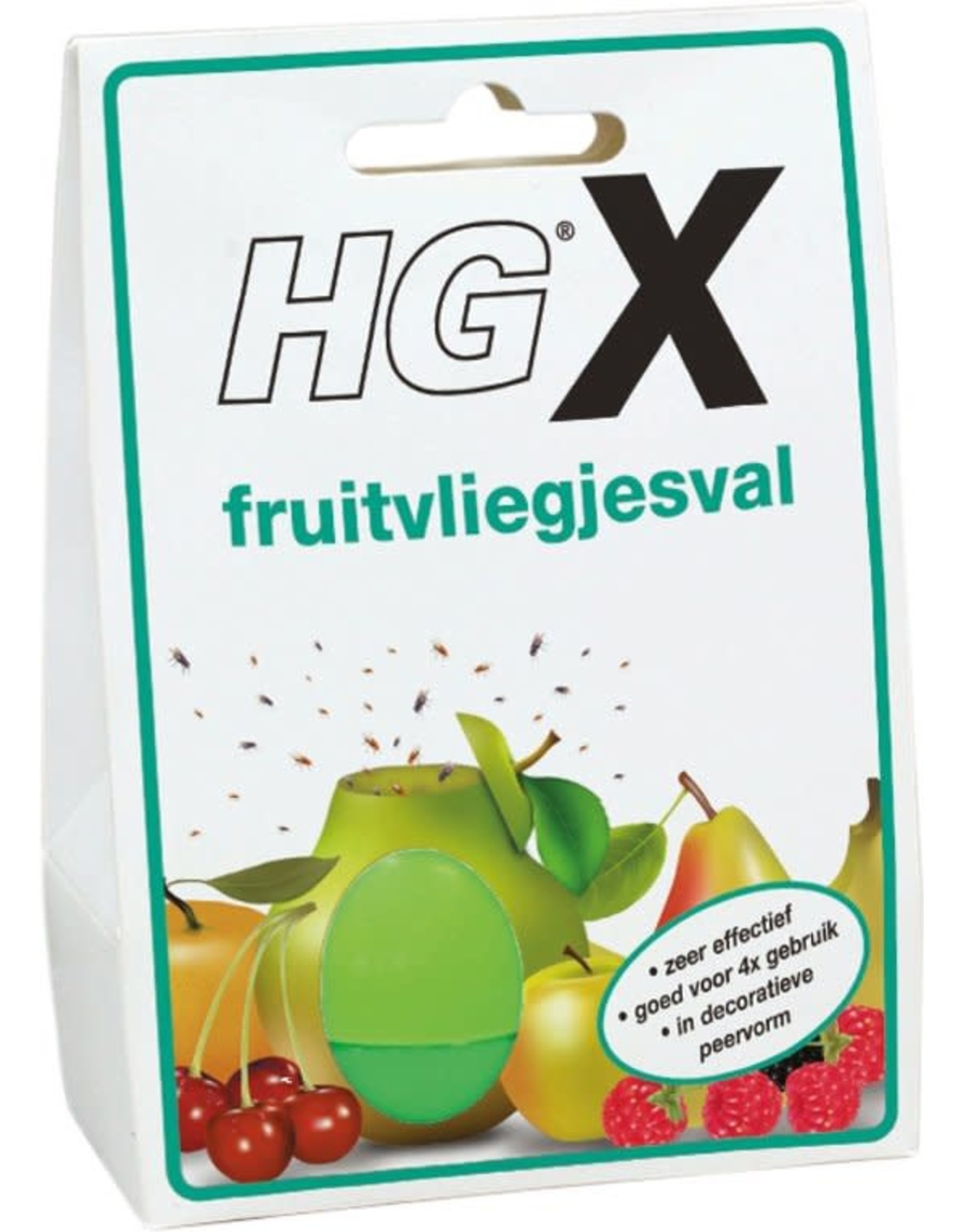 HG FRUITVLIEGJESVAL