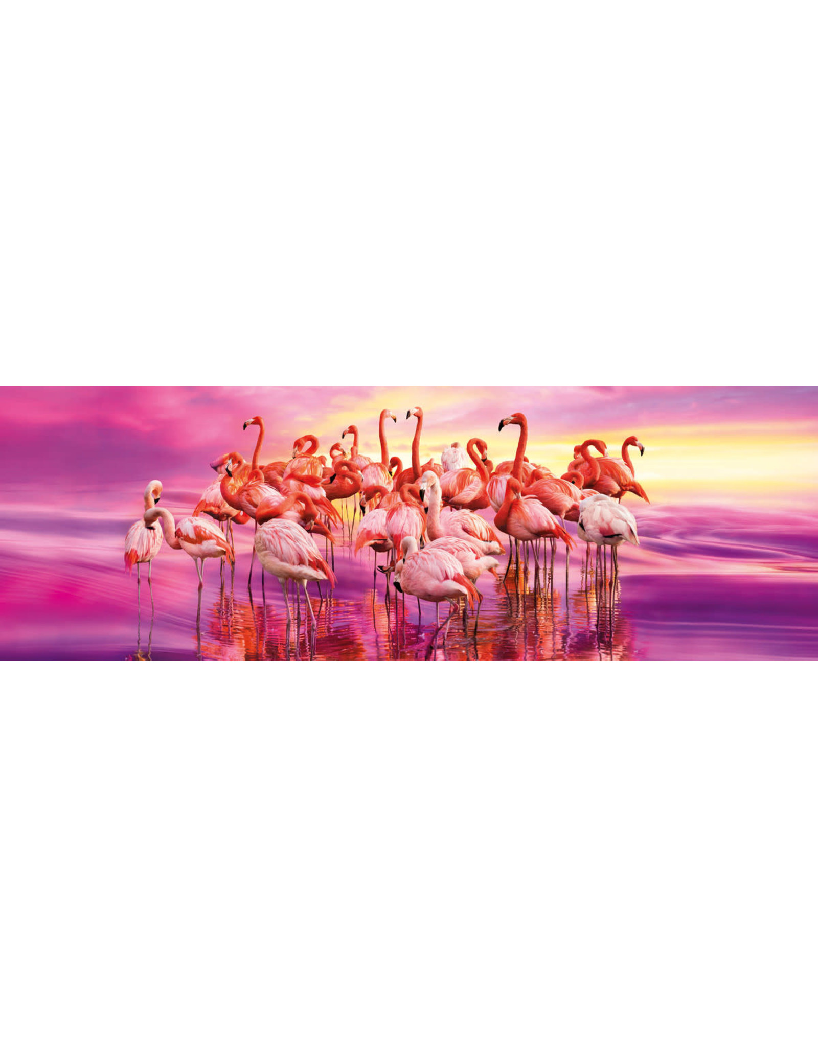 CLEMENTONI CLEMENTONI PUZZEL 1000 PANORAMA FLAMINGO