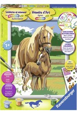 RAVENSBURGER Ravensburger Schilderen op nummer Paardenliefde