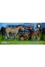 JOLLITY JollyHorses: Quarter Horse Grullo + veulen + hek + boer