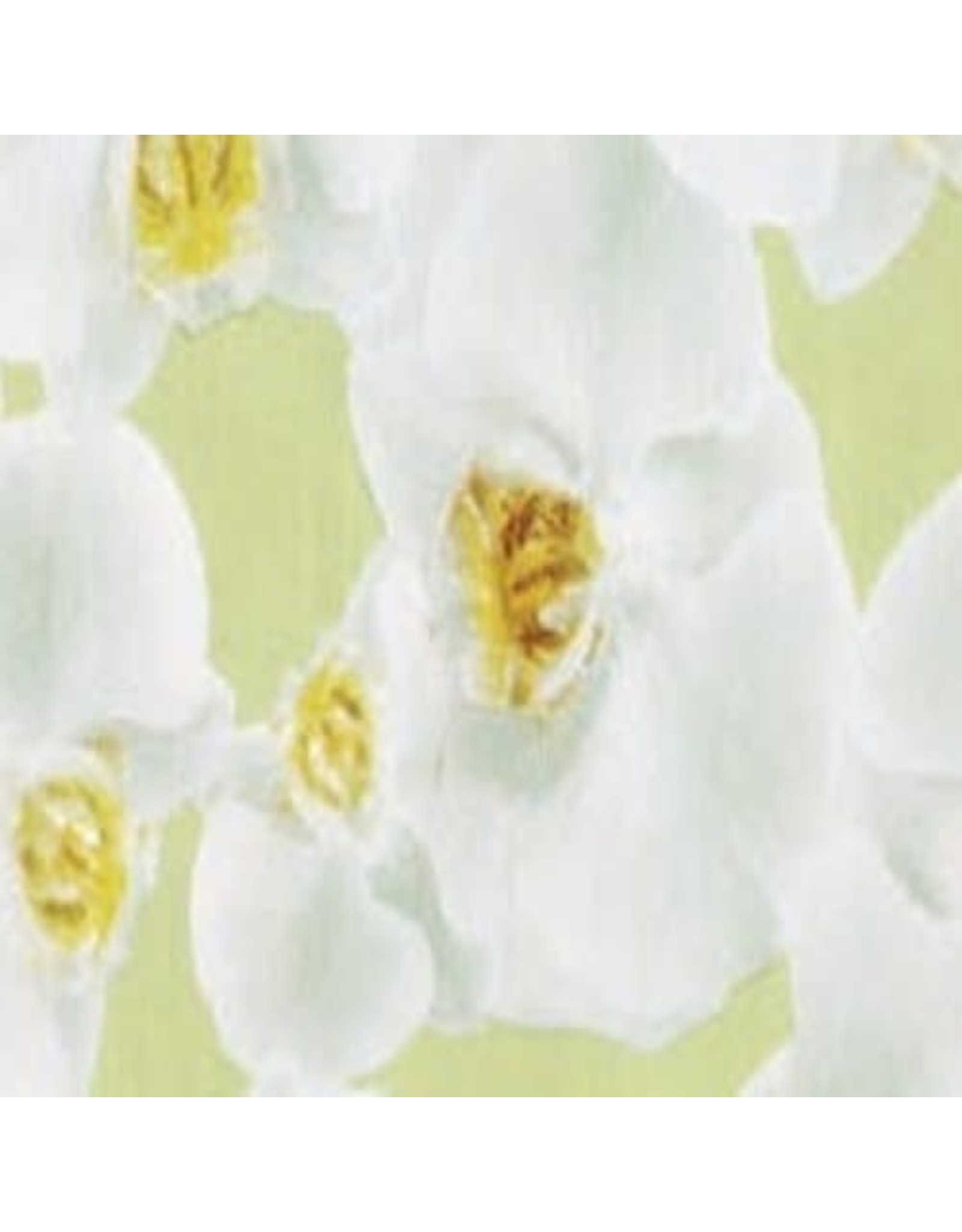 Plakfolie orchidee 45x200