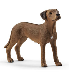 SCHLEICH Schleich Farm World Rhodesian ridgeback