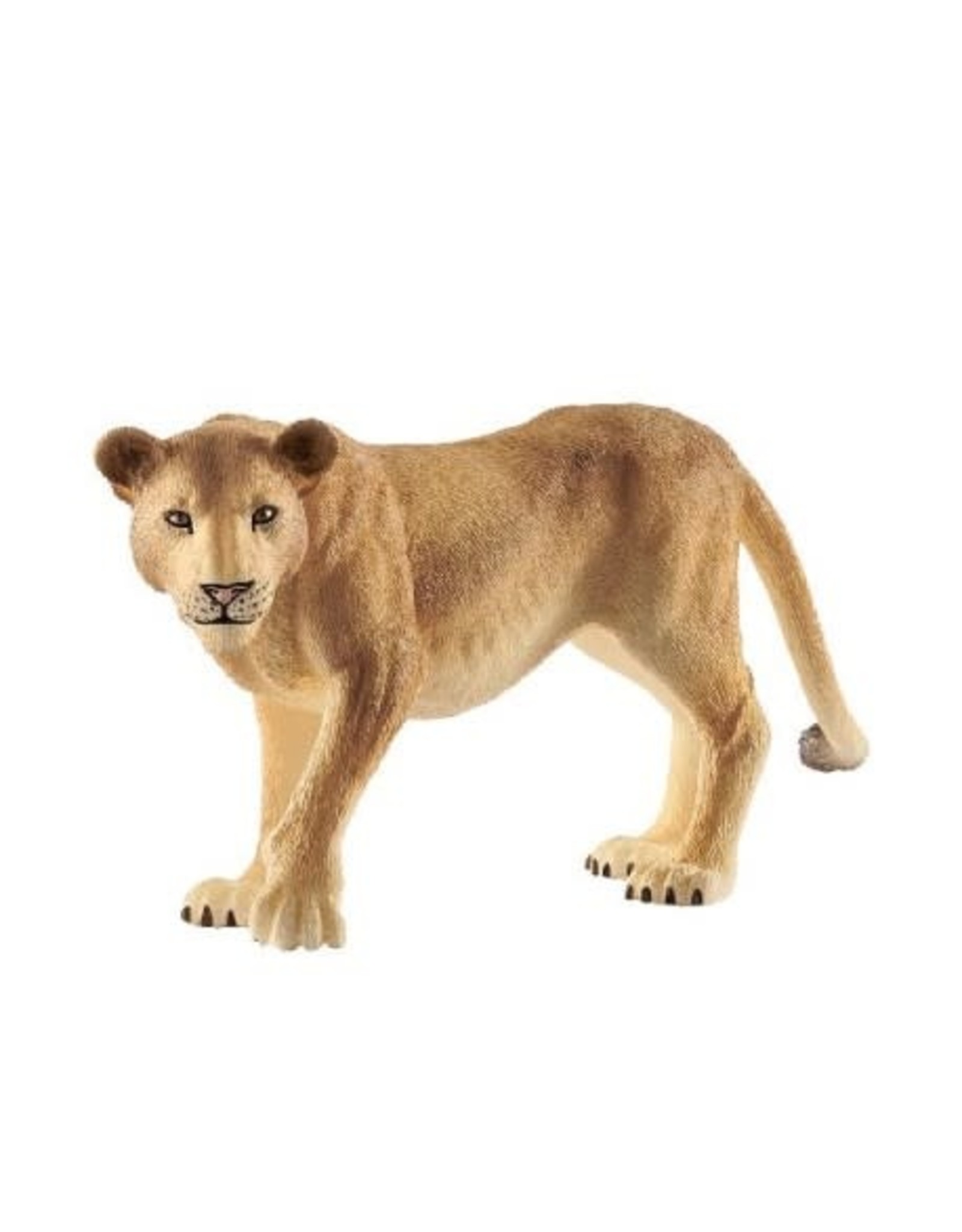 SCHLEICH Schleich Leeuwin 14825