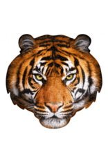 Madd Capp legpuzzel tijger 43 x 42 cm karton oranje 300-delig