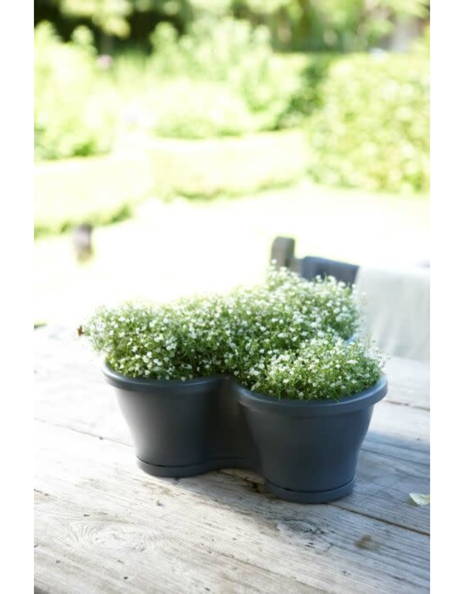 POT CORSICA VERT TUIN S D35.6 NTRCT