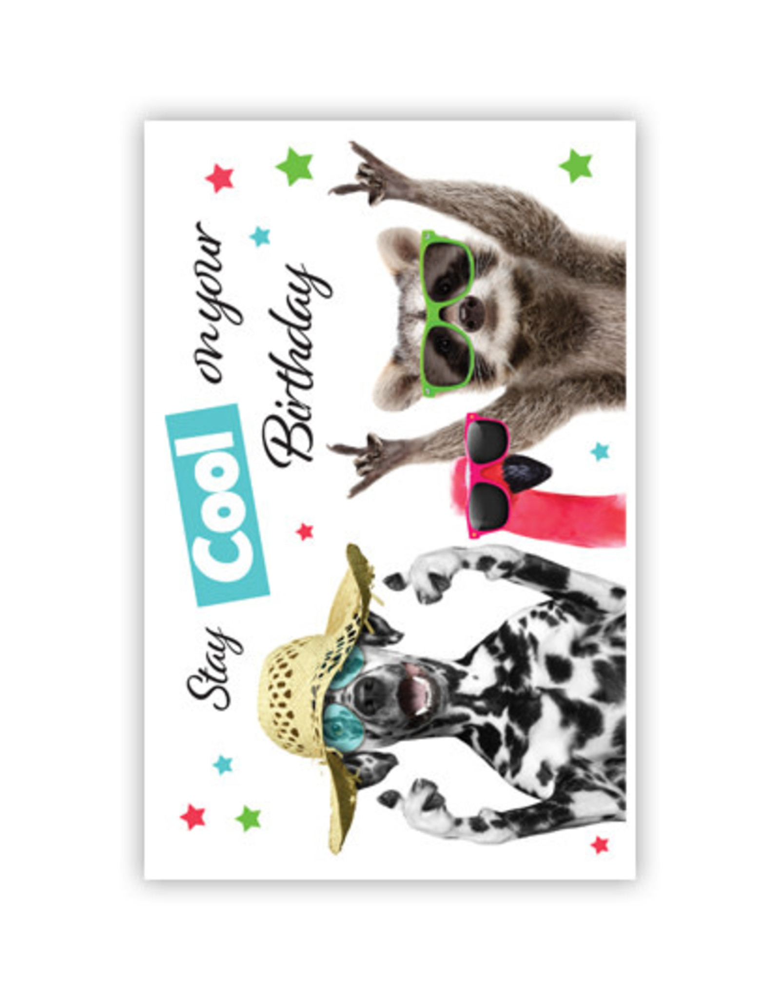 PRIMEURCARDS Stay cool om your Birthday- PrimeurCards- met envelop