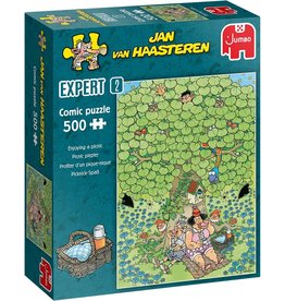 JUMBO Jan van Haasteren Expert 2 - Picnic Plezier (500 stukjes)