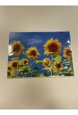 TOUCHE Voorjaar - Touche cards - met envelop
