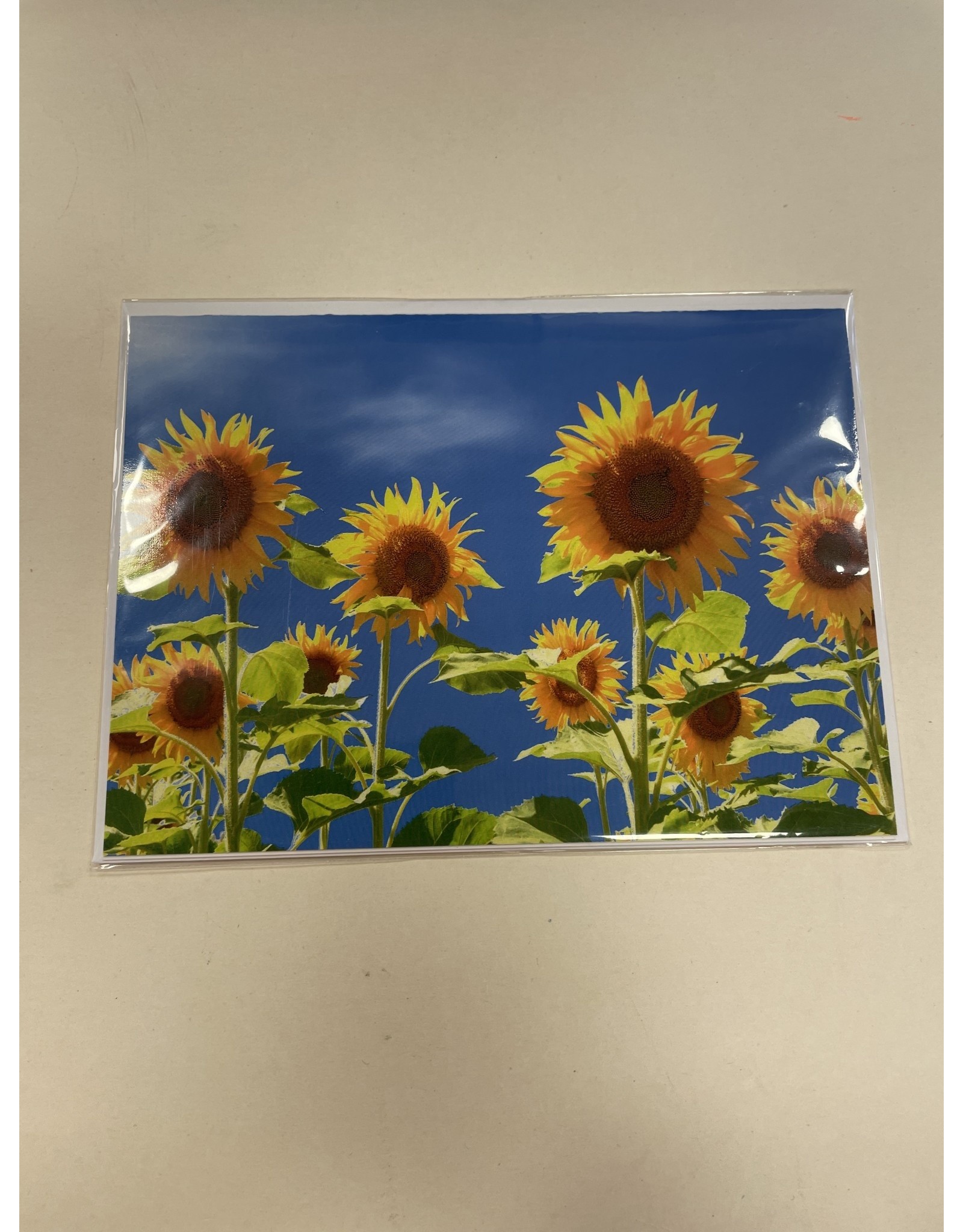 TOUCHE Voorjaar - Touche cards - met envelop