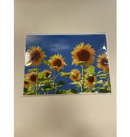 TOUCHE Voorjaar - Touche cards - met envelop