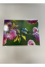 TOUCHE Voorjaarskaart - touche cards met envelop