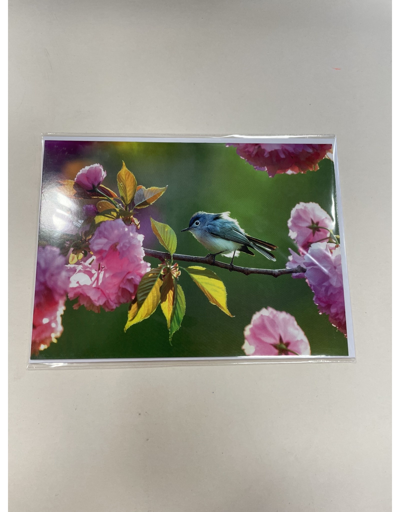 TOUCHE Voorjaarskaart - touche cards met envelop