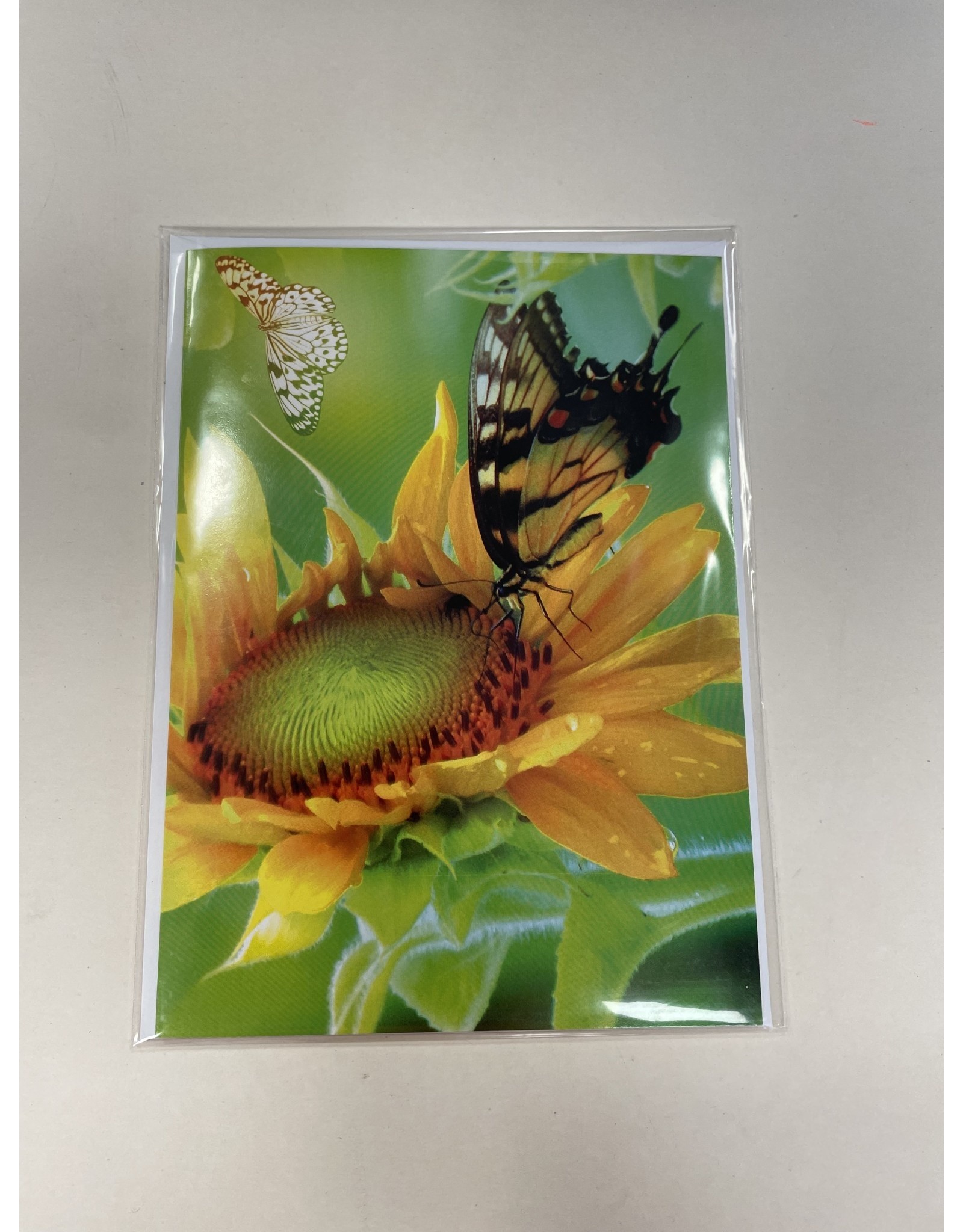 Zonnebloem met vlinder- Touche cards met envelop