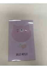 Hallmark Hallo meisje- Hallmark- met envelop