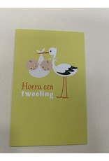Hallmark Hoera een tweeling