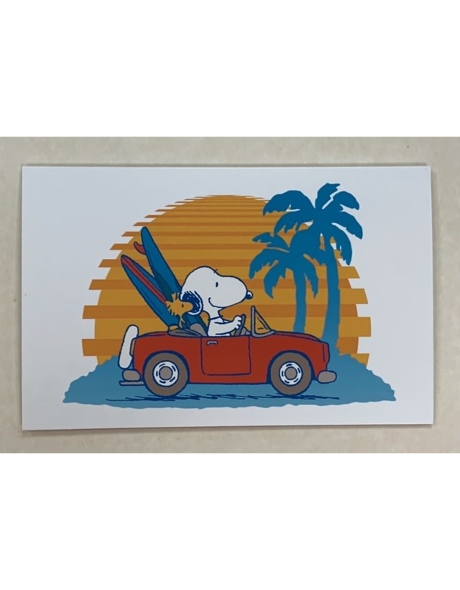 Hallmark Vaderdag Hallmark-Snoopy in auto